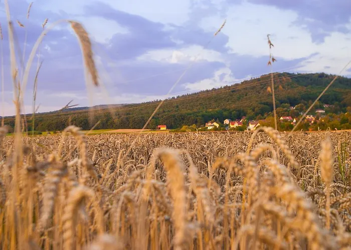 Exklusive *
